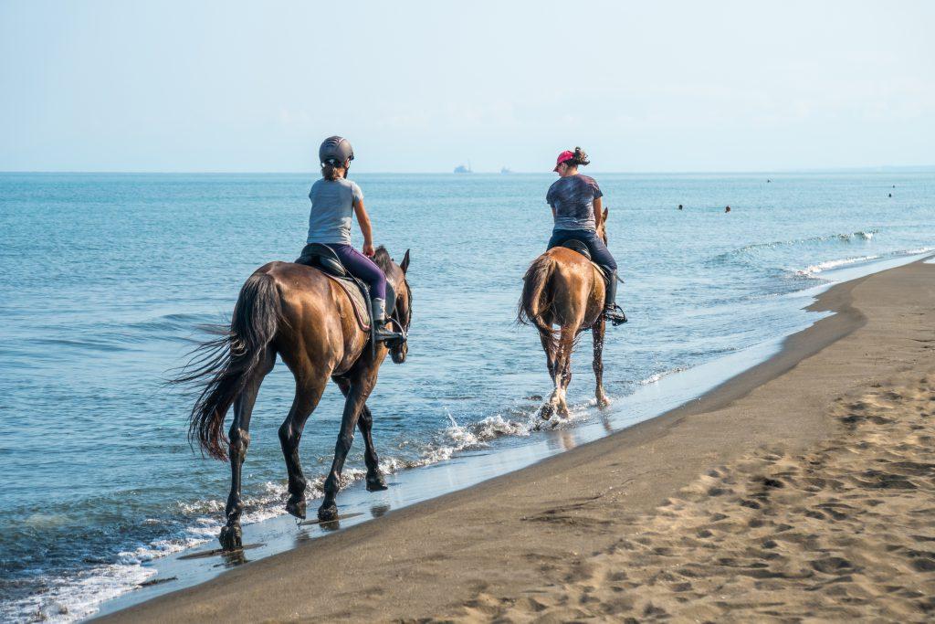 AdobeStock_BeachHorses-1-1024x683