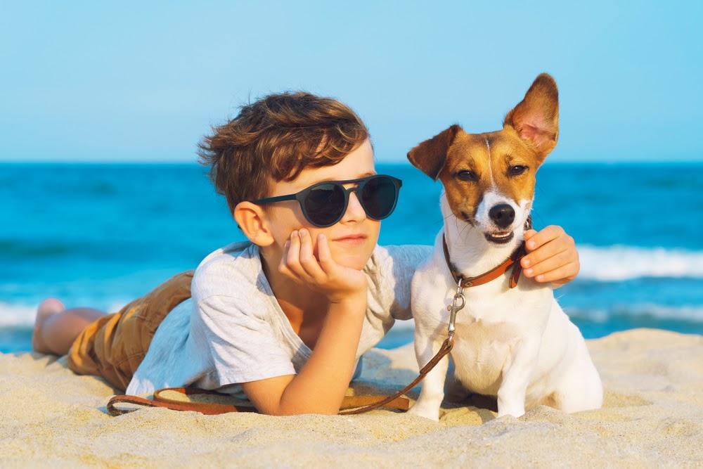 Pet-Friendly-Rentals-on-Hilton-Head