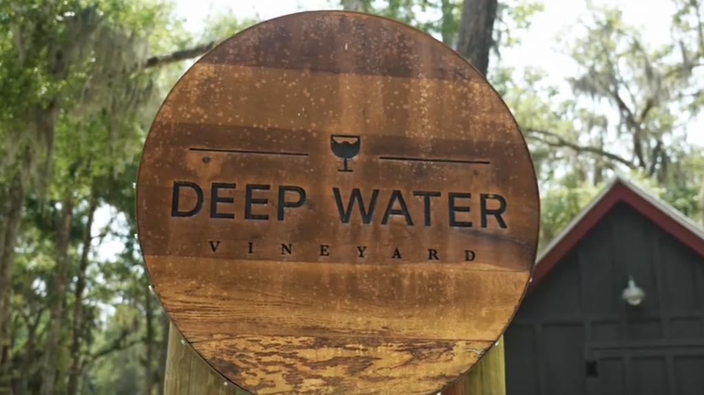 Screenshot-2024-01-31-at-9