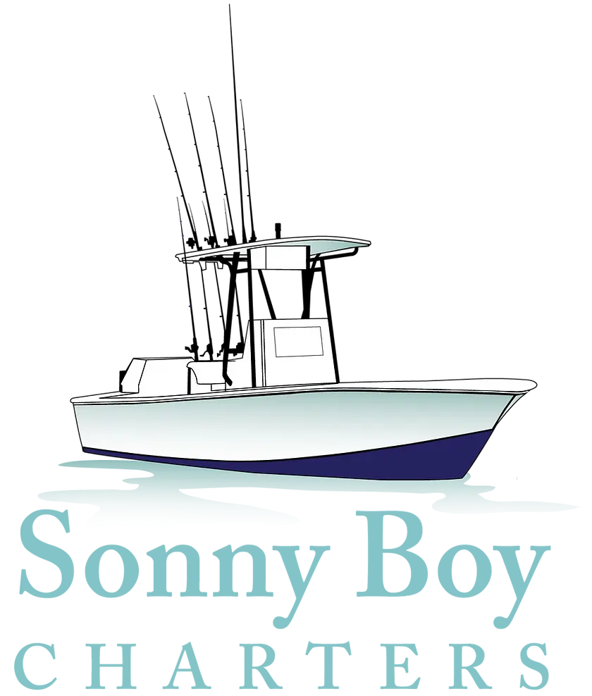 e163a6_c70fab3398174ca7bdca5bc9ff592df0