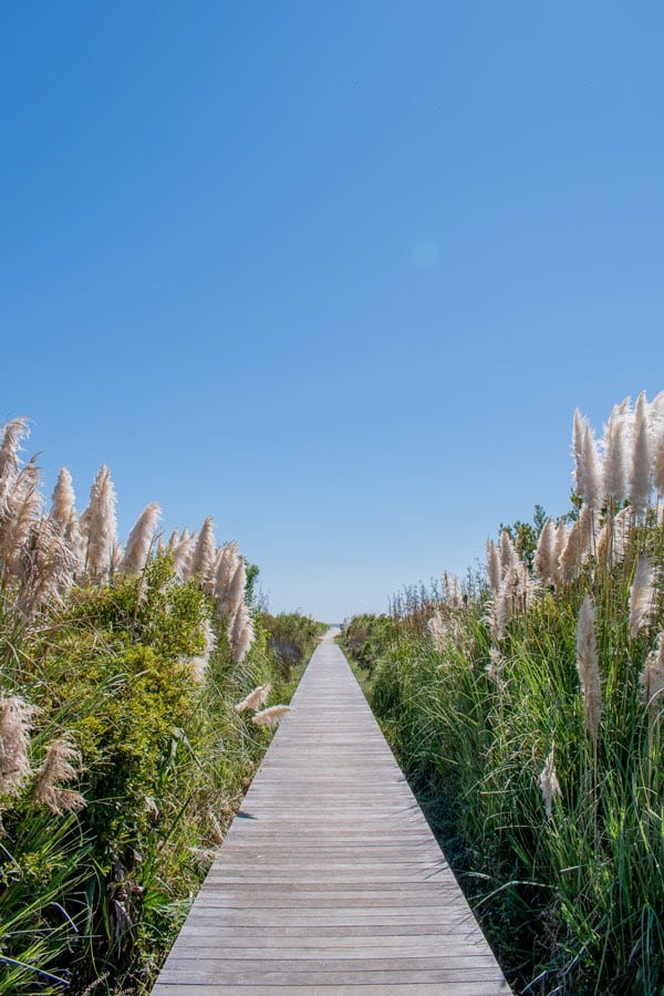 Beachfront Rentals callout
